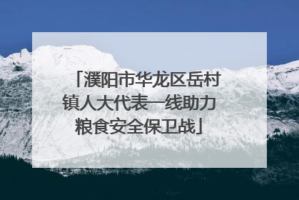 濮阳市华龙区岳村镇人大代表一线助力粮食安全保卫战