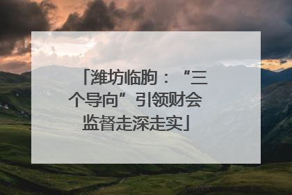潍坊临朐：“三个导向”引领财会监督走深走实