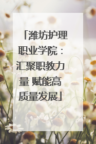 潍坊护理职业学院：汇聚职教力量 赋能高质量发展