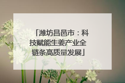 潍坊昌邑市：科技赋能生姜产业全链条高质量发展