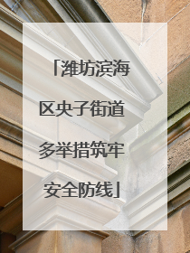 潍坊滨海区央子街道多举措筑牢安全防线