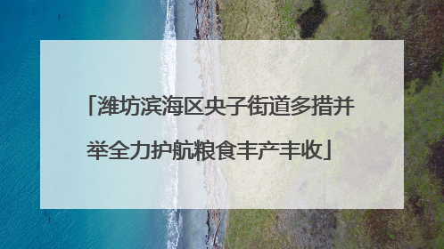 潍坊滨海区央子街道多措并举全力护航粮食丰产丰收