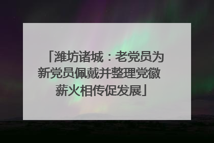 潍坊诸城：老党员为新党员佩戴并整理党徽 薪火相传促发展