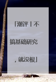 潮评丨不搞基础研究，就没根