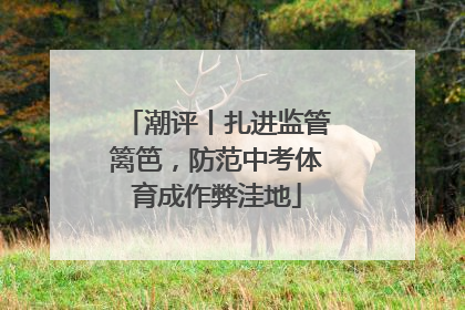潮评丨扎进监管篱笆，防范中考体育成作弊洼地