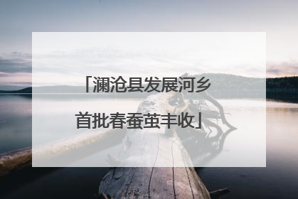澜沧县发展河乡首批春蚕茧丰收