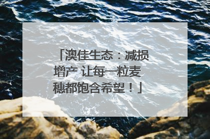 澳佳生态：减损增产 让每一粒麦穗都饱含希望！