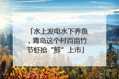 水上发电水下养鱼，青岛这个村百亩竹节虾抢“鲜”上市