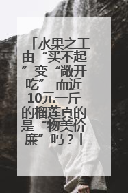水果之王由“买不起”变“敞开吃” 而近10元一斤的榴莲真的是“物美价廉”吗？