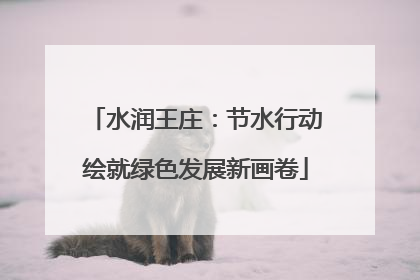 水润王庄：节水行动绘就绿色发展新画卷