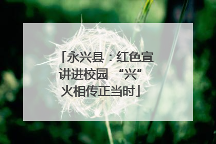 永兴县：红色宣讲进校园 “兴”火相传正当时