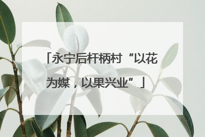 永宁后杆柄村“以花为媒，以果兴业”