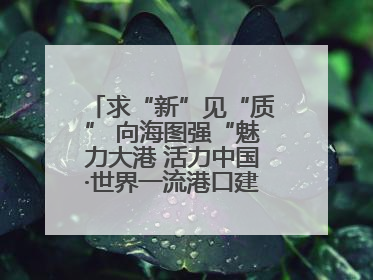 求“新”见“质” 向海图强“魅力大港 活力中国·世界一流港口建设”主题宣传活动走进山东
