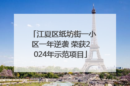 江夏区纸坊街一小区一年逆袭 荣获2024年示范项目