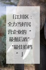 江川区：全力当好民营企业的“最强后盾”“最佳拍档”