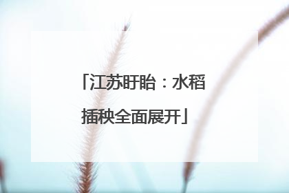 江苏盱眙：水稻插秧全面展开