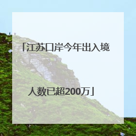 江苏口岸今年出入境人数已超200万