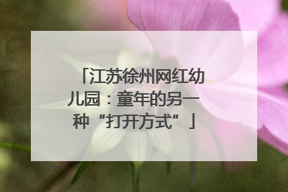 江苏徐州网红幼儿园：童年的另一种“打开方式”