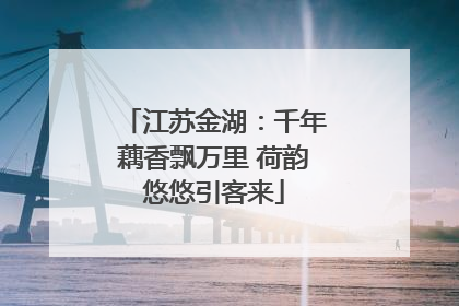 江苏金湖：千年藕香飘万里 荷韵悠悠引客来