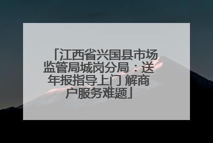 江西省兴国县市场监管局城岗分局：送年报指导上门 解商户服务难题
