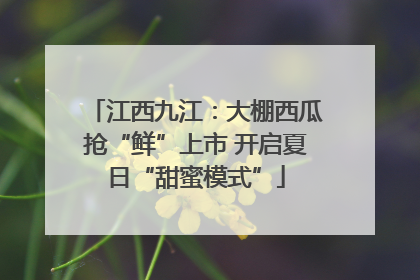 江西九江：大棚西瓜抢“鲜”上市 开启夏日“甜蜜模式”