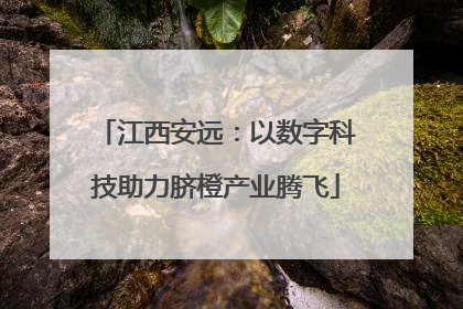 江西安远：以数字科技助力脐橙产业腾飞