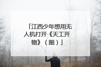 江西少年想用无人机打开《天工开物》（图）