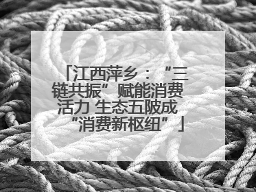 江西萍乡：“三链共振”赋能消费活力 生态五陂成“消费新枢纽”