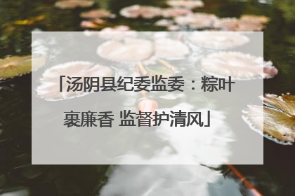 汤阴县纪委监委：粽叶裹廉香 监督护清风