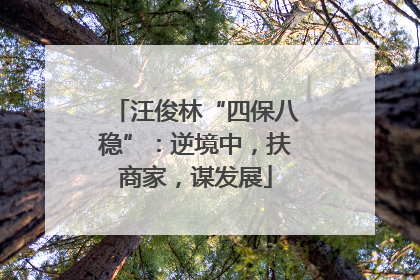 汪俊林“四保八稳”：逆境中，扶商家，谋发展