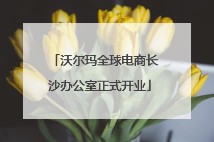 沃尔玛全球电商长沙办公室正式开业