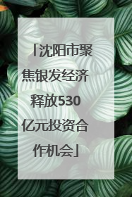 沈阳市聚焦银发经济释放530亿元投资合作机会