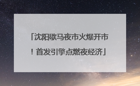 沈阳歇马夜市火爆开市！首发引擎点燃夜经济