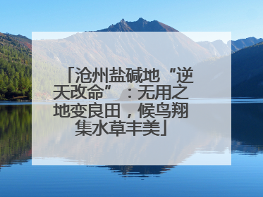 沧州盐碱地“逆天改命”：无用之地变良田，候鸟翔集水草丰美