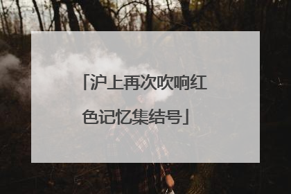 沪上再次吹响红色记忆集结号