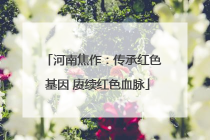 河南焦作：传承红色基因 赓续红色血脉