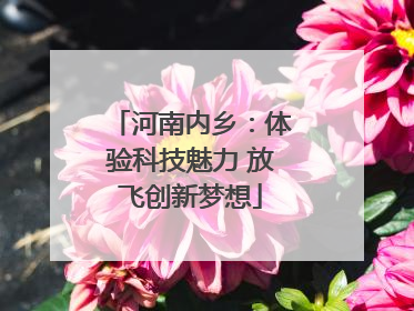 河南内乡：体验科技魅力 放飞创新梦想