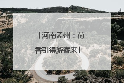 河南孟州：荷香引得游客来