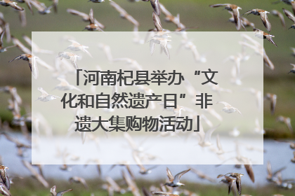 河南杞县举办“文化和自然遗产日”非遗大集购物活动