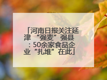 河南日报关注延津 “强麦”强县：50余家食品企业“扎堆”在此