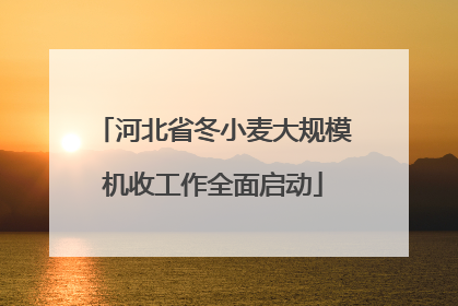 河北省冬小麦大规模机收工作全面启动
