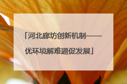 河北廊坊创新机制——优环境解难题促发展
