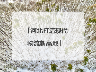 河北打造现代物流新高地
