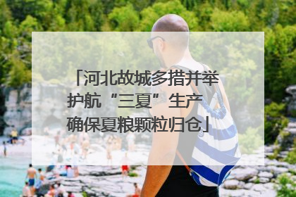 河北故城多措并举护航“三夏”生产 确保夏粮颗粒归仓