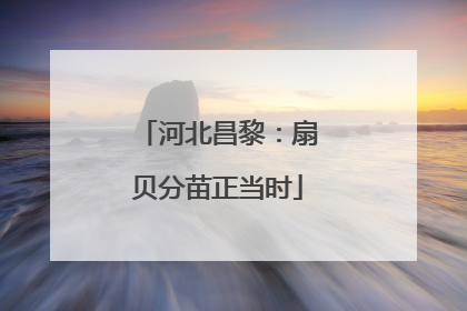 河北昌黎：扇贝分苗正当时