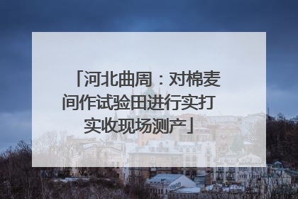 河北曲周：对棉麦间作试验田进行实打实收现场测产
