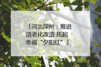 河北深州：推进适老化改造 托起幸福“夕阳红”