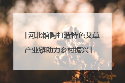 河北馆陶打造特色艾草产业链助力乡村振兴