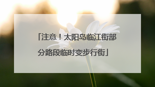 注意！太阳岛临江街部分路段临时变步行街