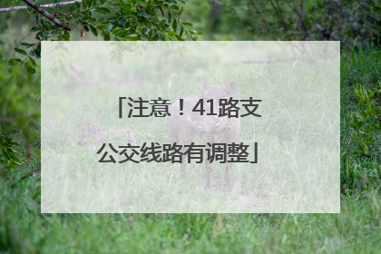 注意！41路支公交线路有调整